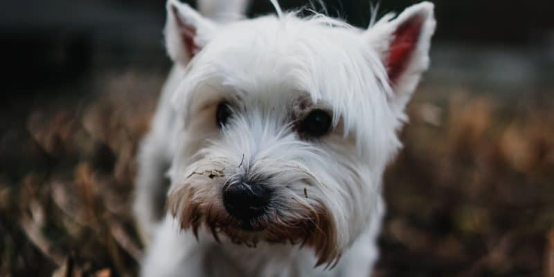 five things to protect online, name, age, date of birth, address, phone, email five things to protect online, name, age, date of birth, address, phone, email