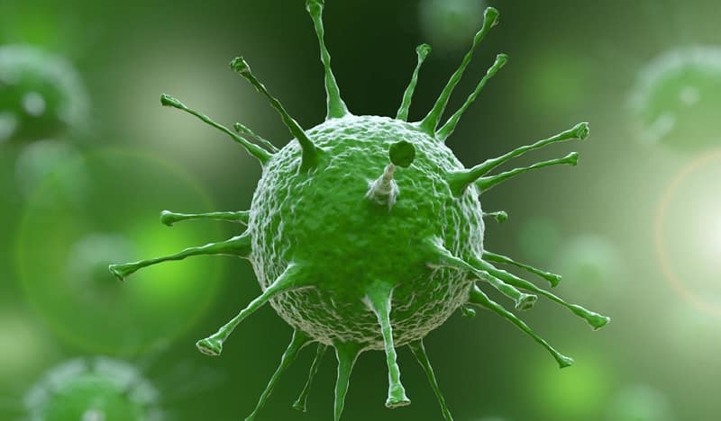 Antivirus software - do you need an anti virus program? Antivirus software - do you need an anti virus program?